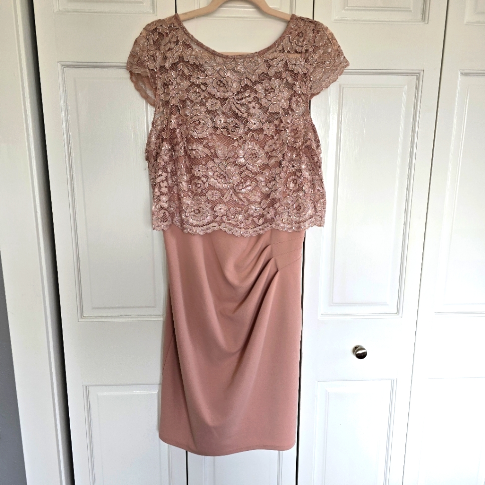 Marina Blush Popover Floral Lace Dress